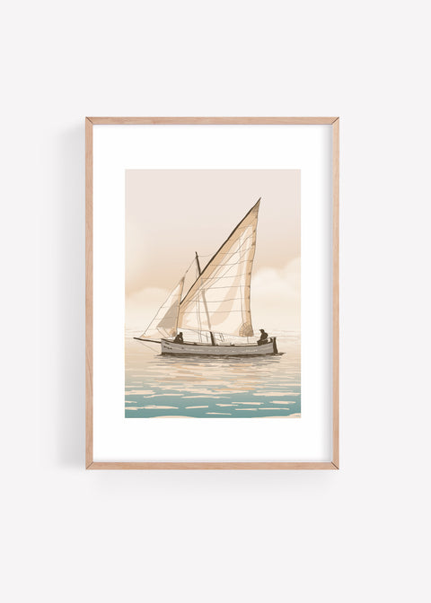 Làmina «Vela llatina»