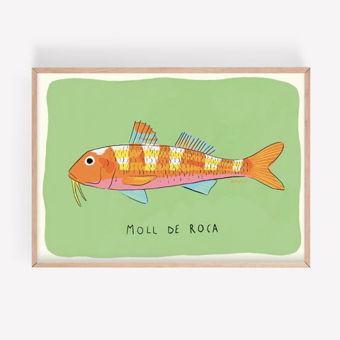 Lámina «Moll de roca»