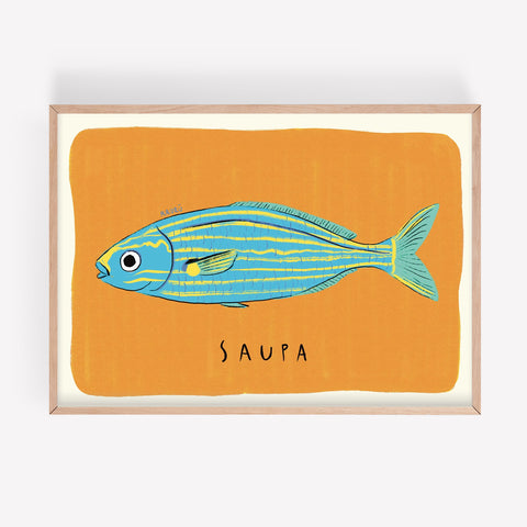 Lámina «Saupa»
