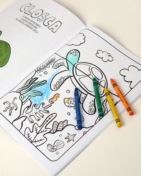 Menorca Colouring Book «Animal Life»