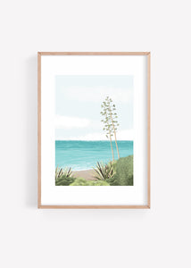 Art Print Menorca «Cactus de mar»